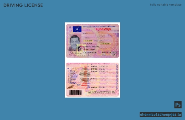 Niederländische DL-Beispielvorschau